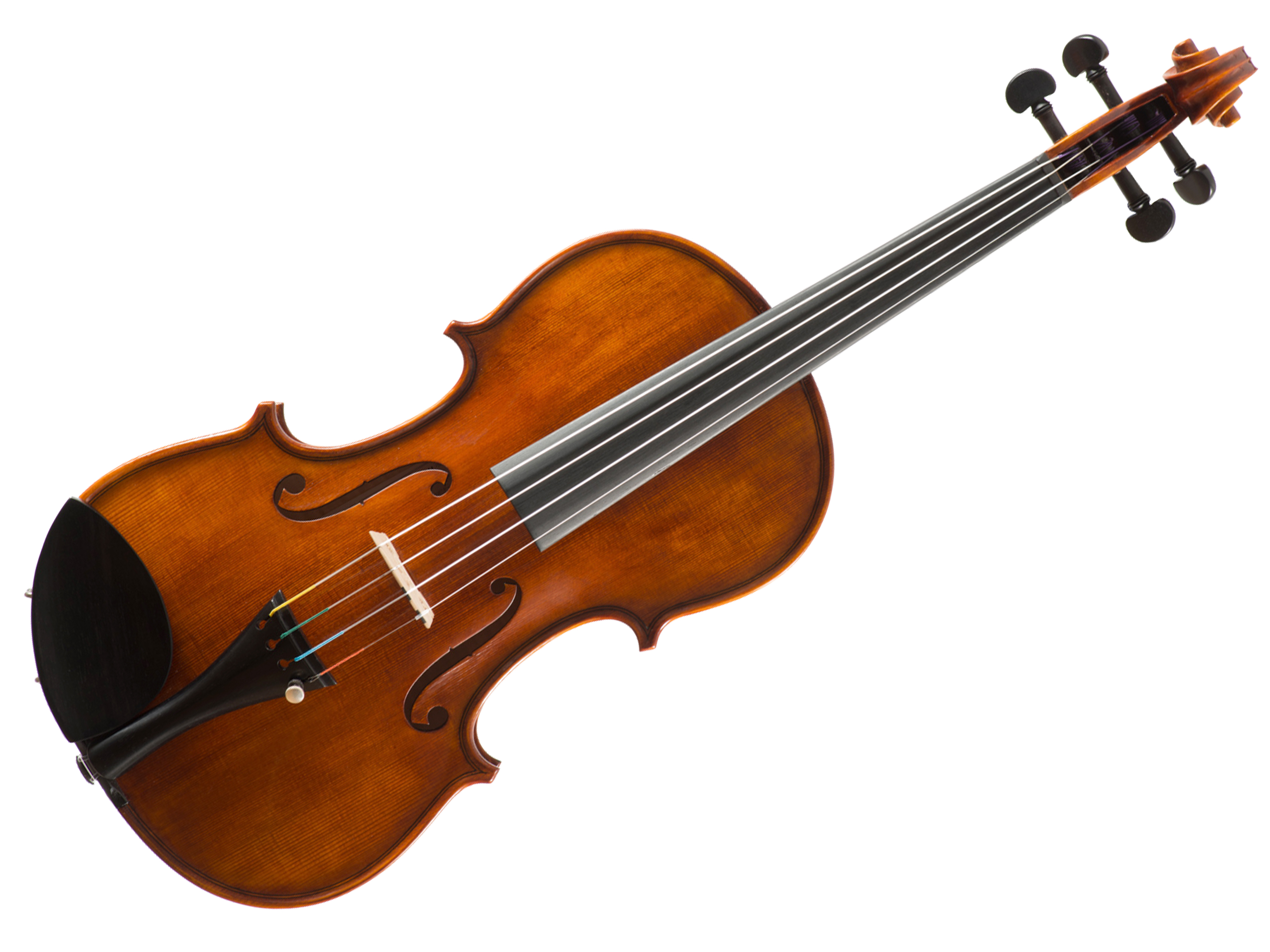 C.A.Götz 123CT Violine 4/4 Contemporary Signature
