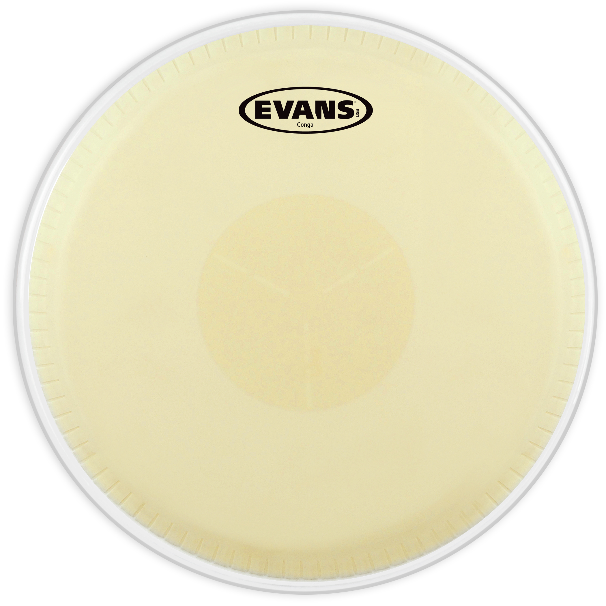 Evans 11 3/4" Congafell