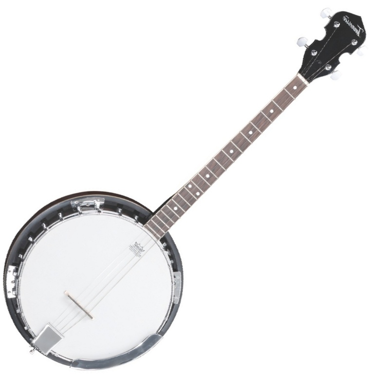 VGS Tenor-Banjo Select 4-Saite