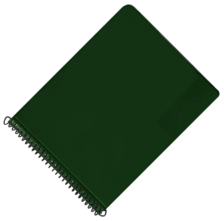 Star Marschmappe 246 / 20 Taschen grün 17x13,5 cm quer