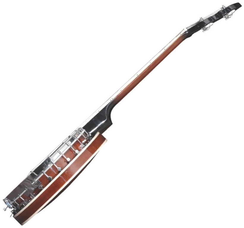 VGS Tenor-Banjo Select 4-Saiter