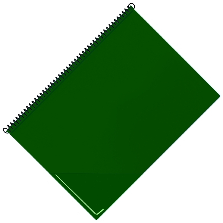 Star Notenmappe 662a / 25 Taschen grün DIN A4 hoch