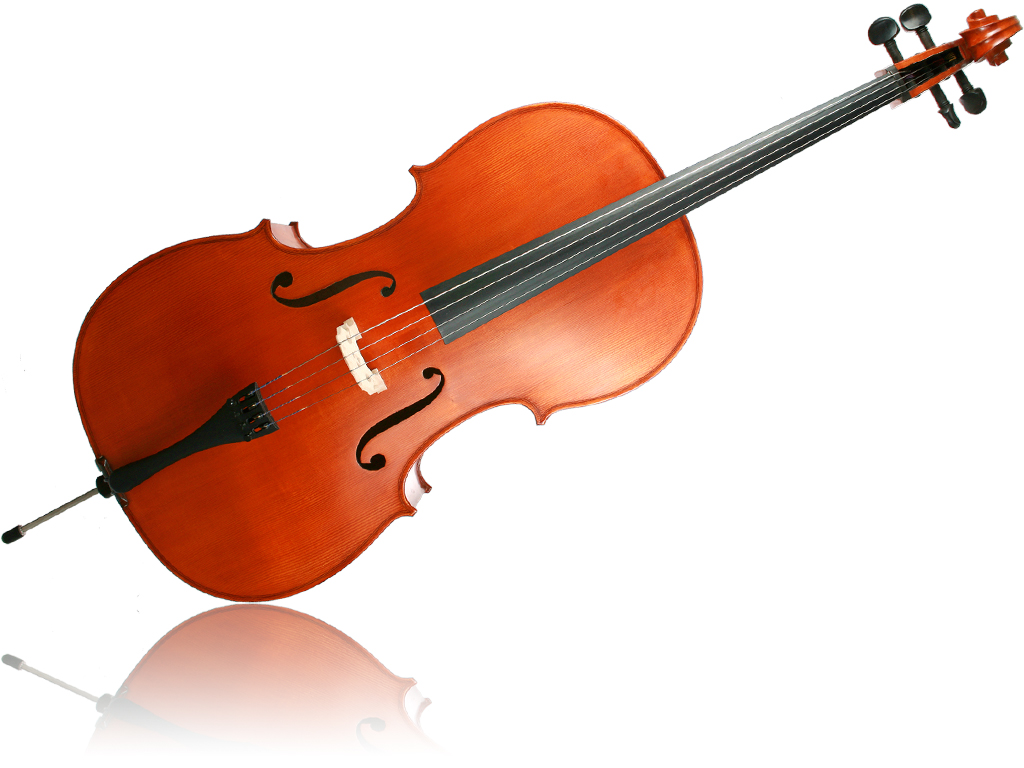 Sandner 8220 Cello 4/4 Schülermodell