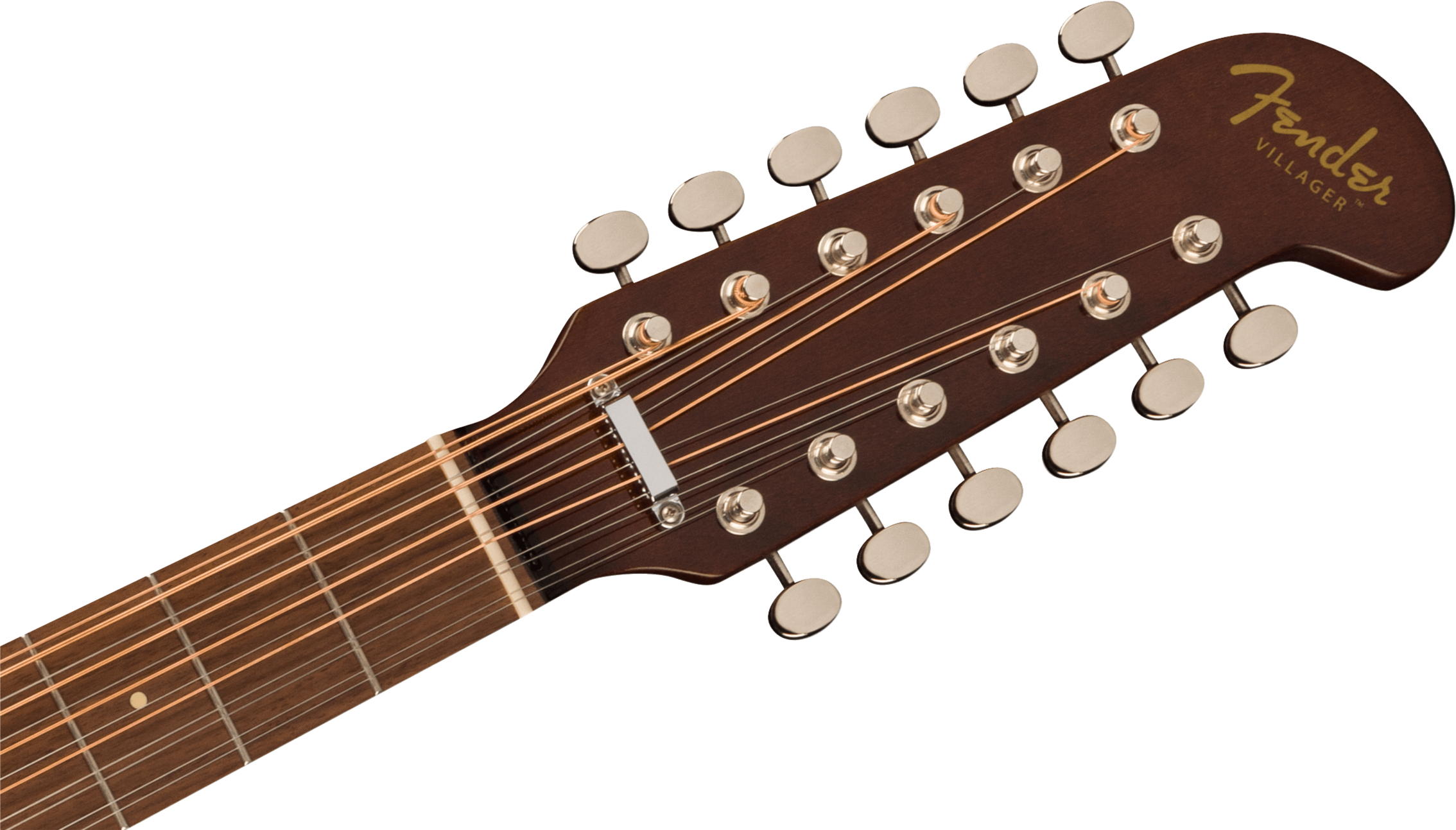 Fender Villager 12-String AGN W/BAG WN