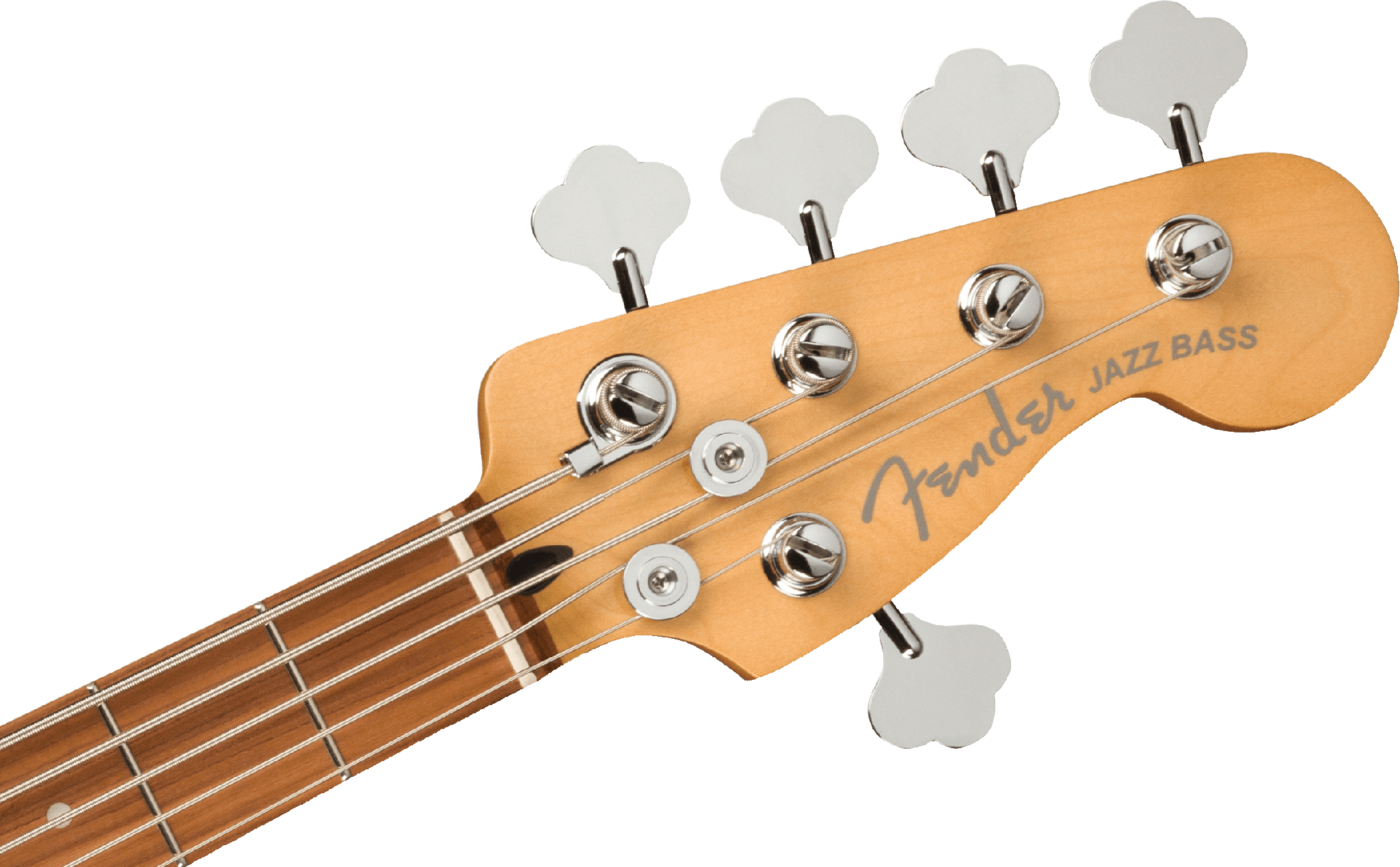 Fender Player Plus Jazz Bass V PF SS TQS