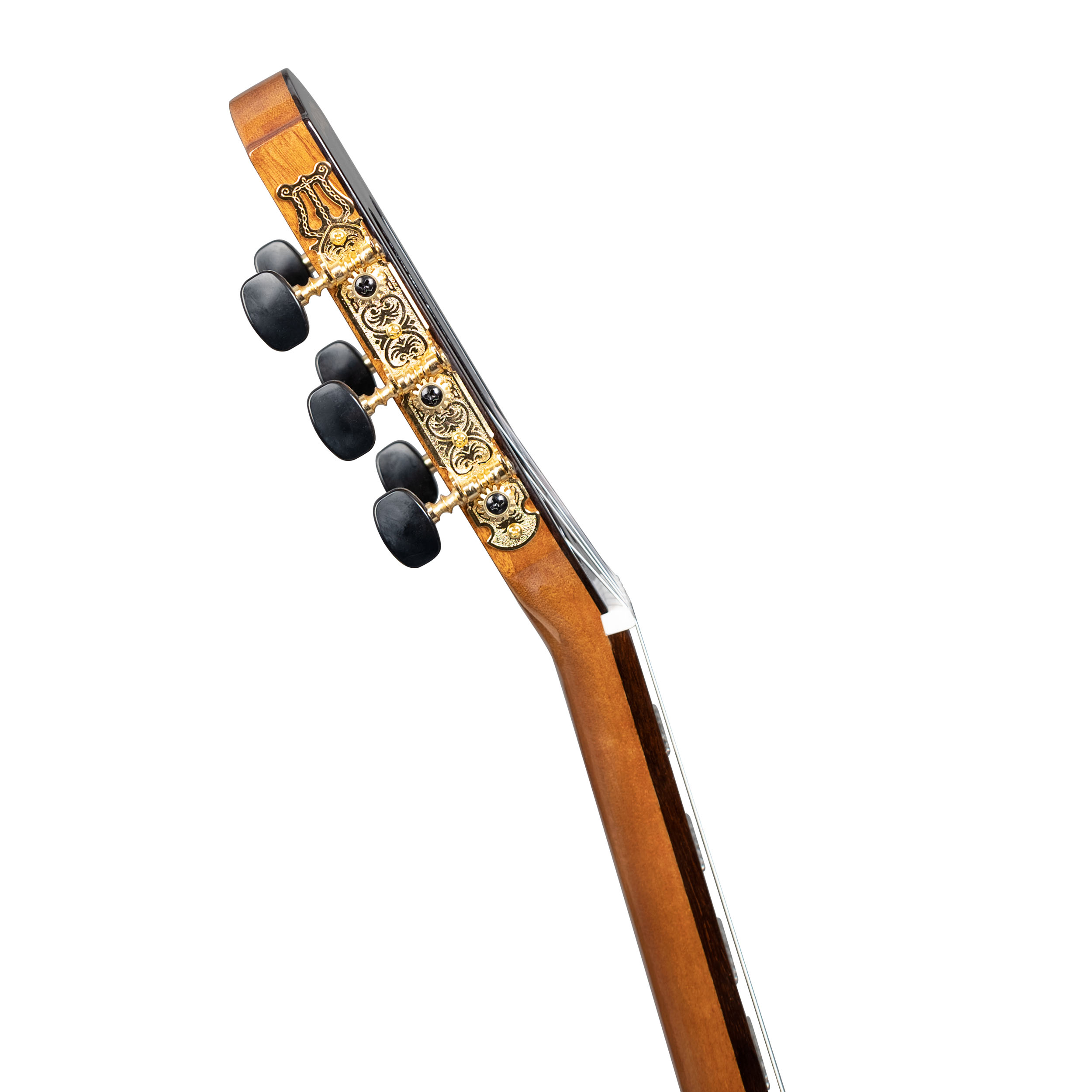 Cascha CGC310 Perfomer Series Konzertgitarre 4/4 Solid Top