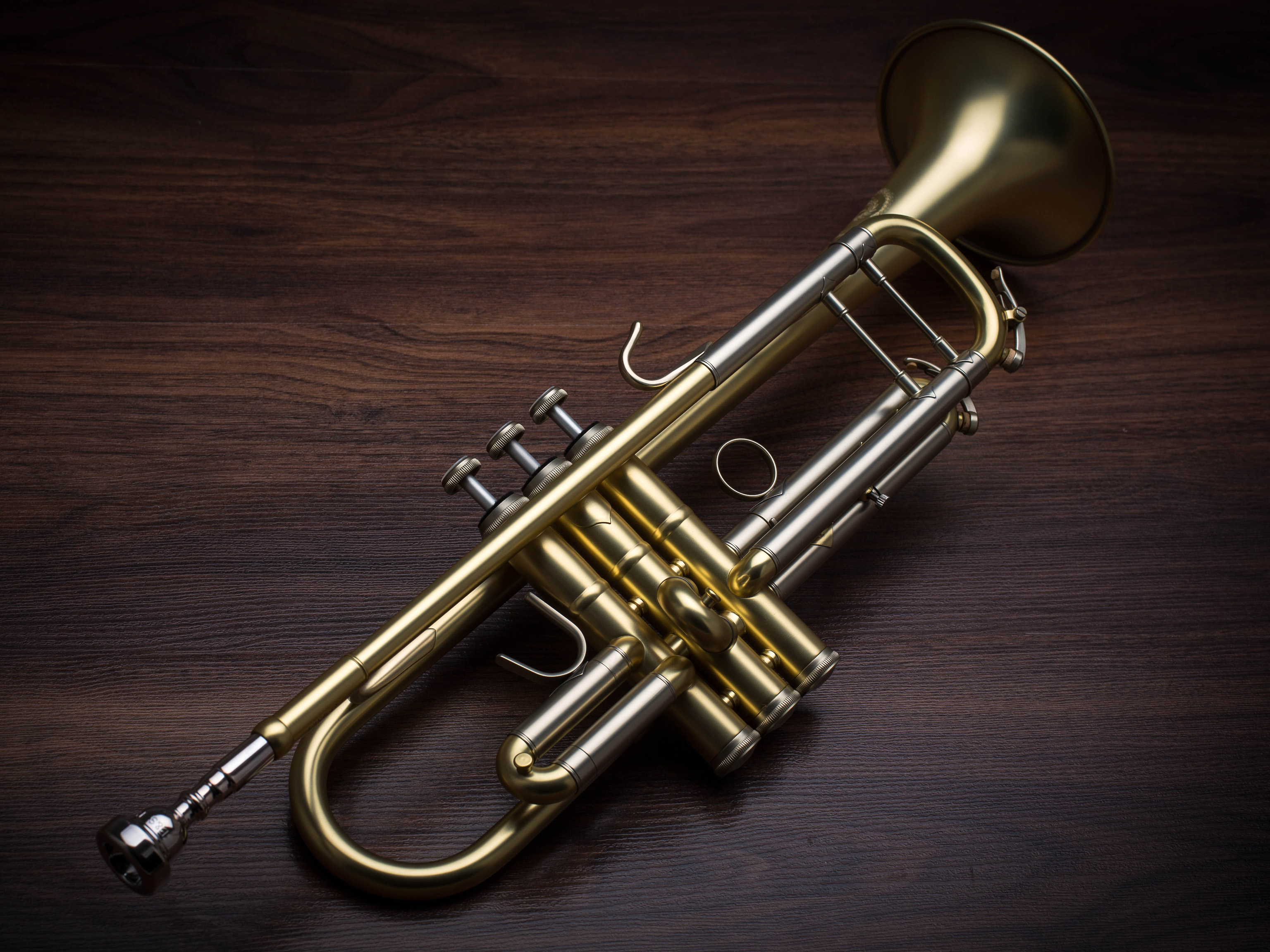 B&S 3178/2-E Trompete Elaboration