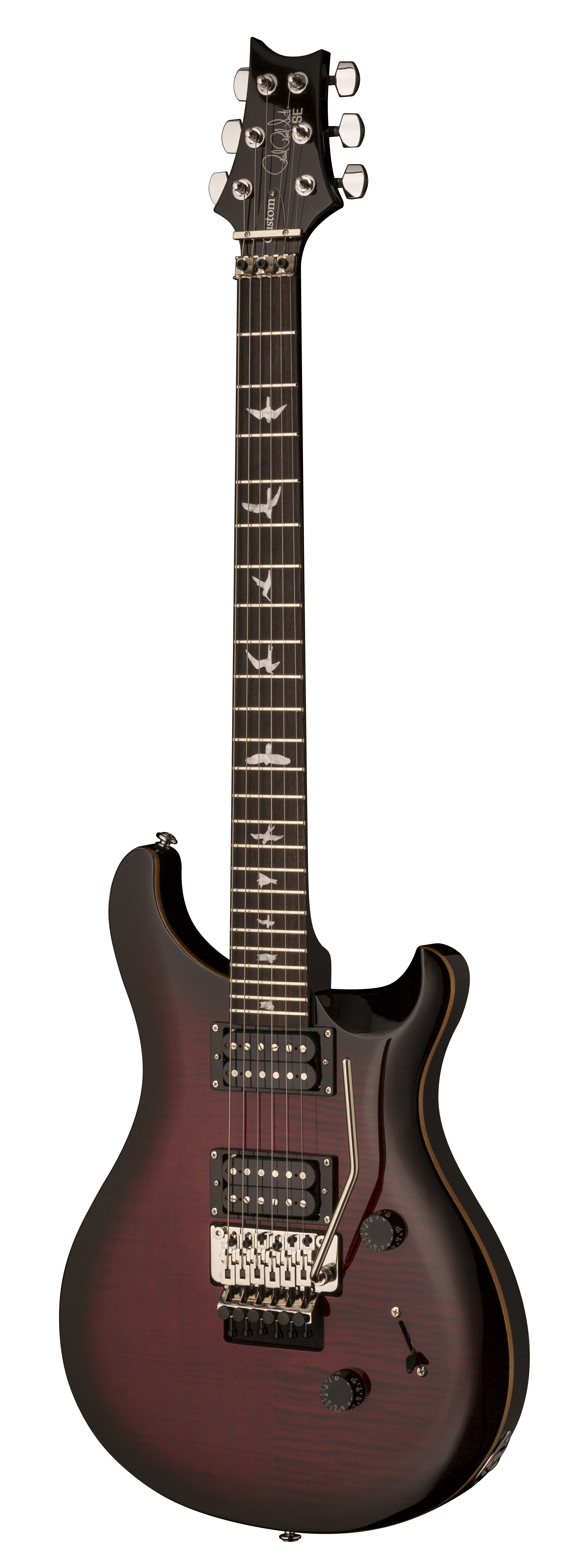PRS SE Floyd Custom 24 E-Gitarre