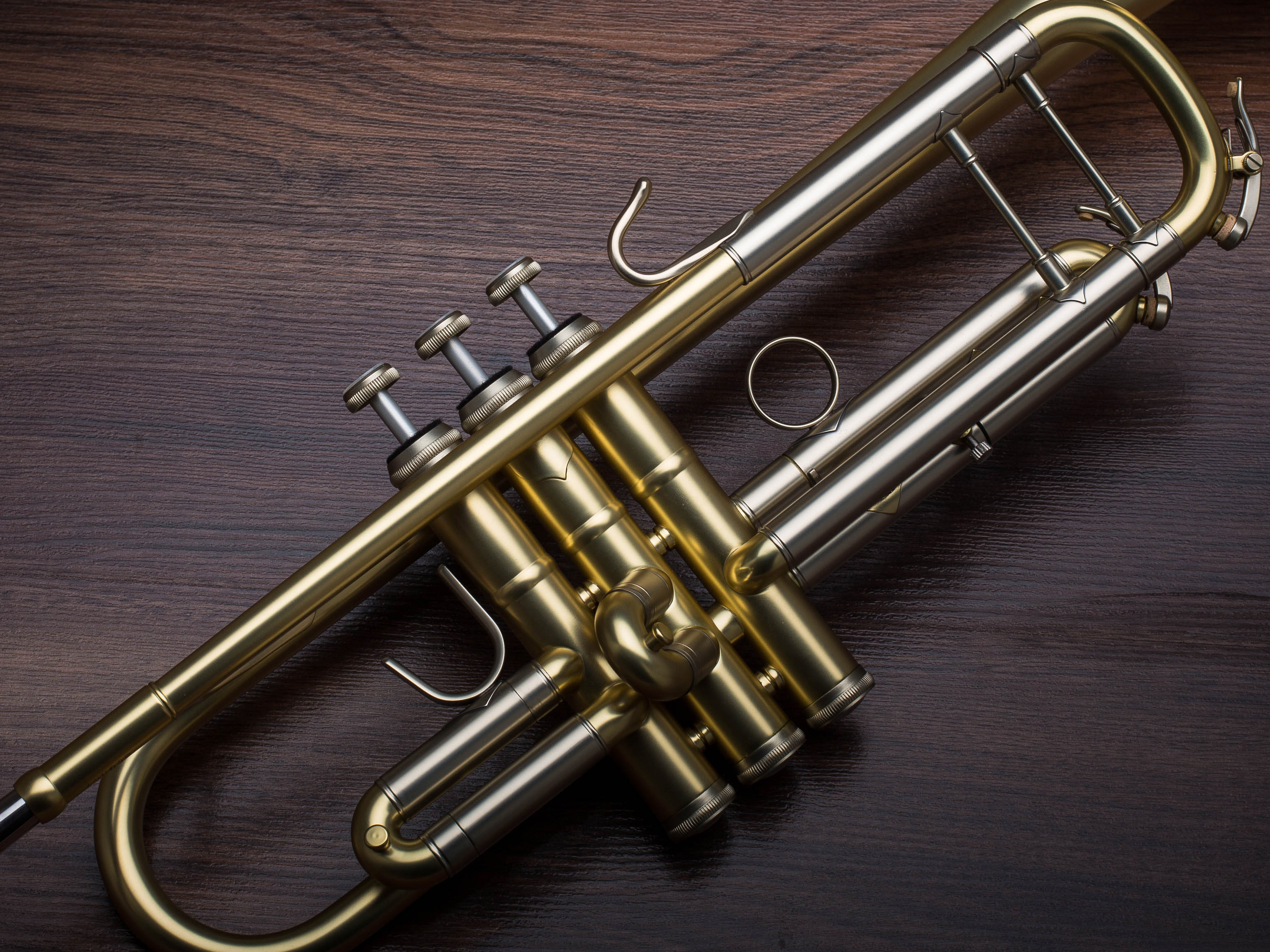 B&S 3138/2-E Trompete Elaboration