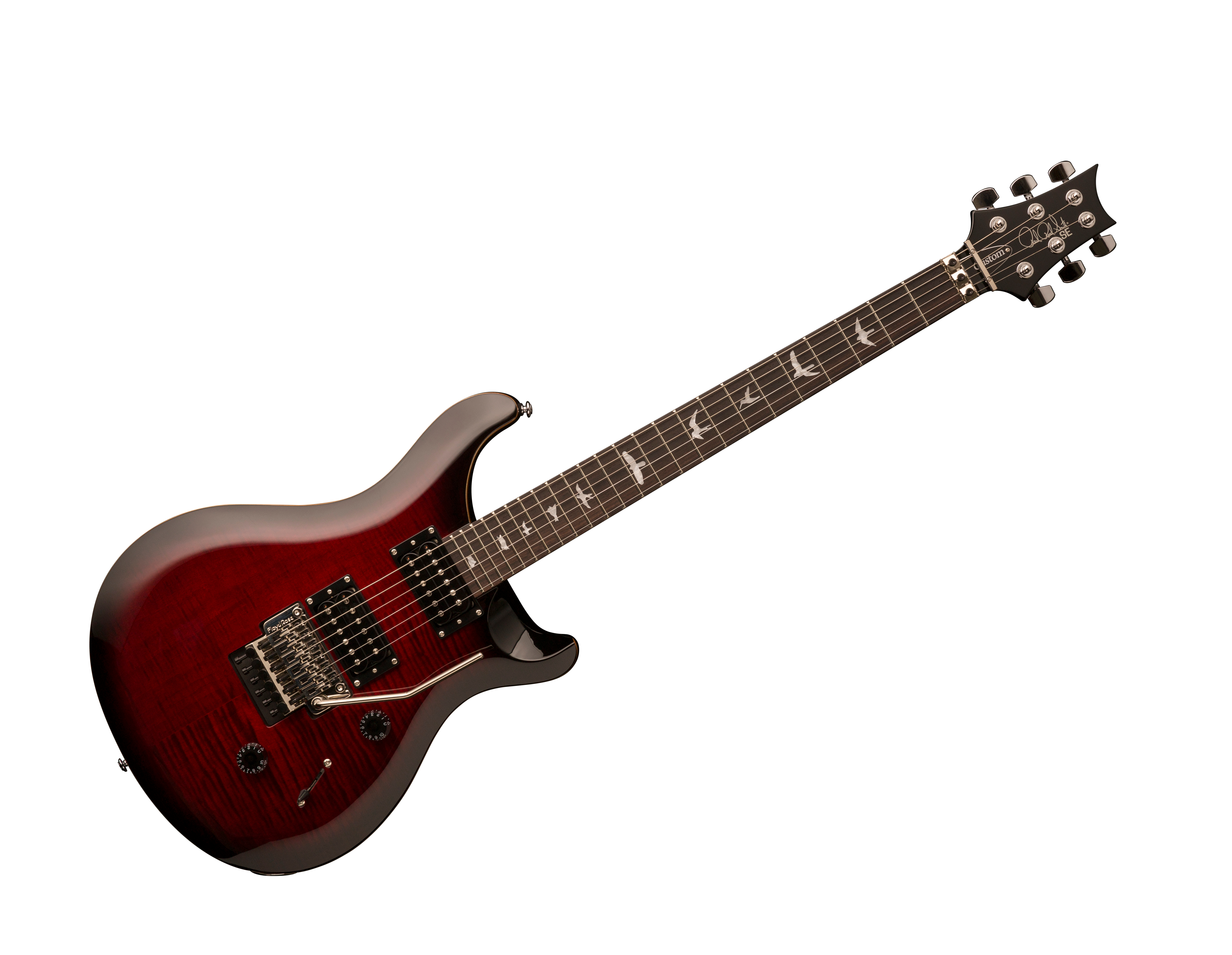 PRS SE Floyd Custom 24 E-Gitarre